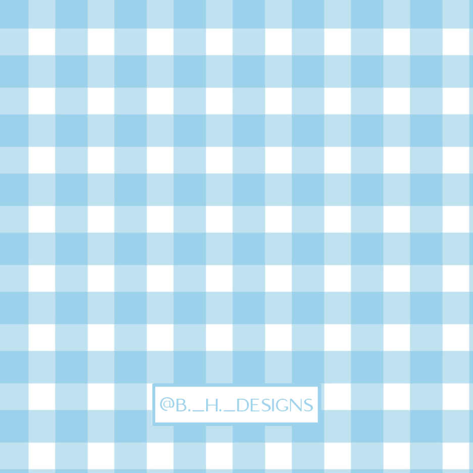 Blue Gingham Airplane Personalized Enclosure Cards — coordinating reverse